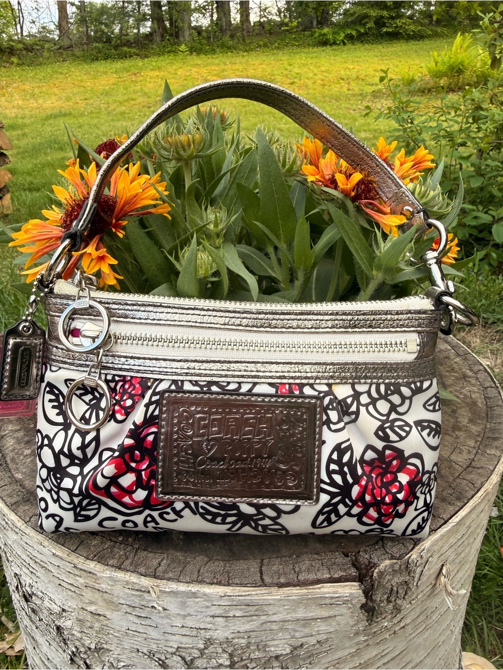 Coach Poppy Mini Bag Large Wristlet